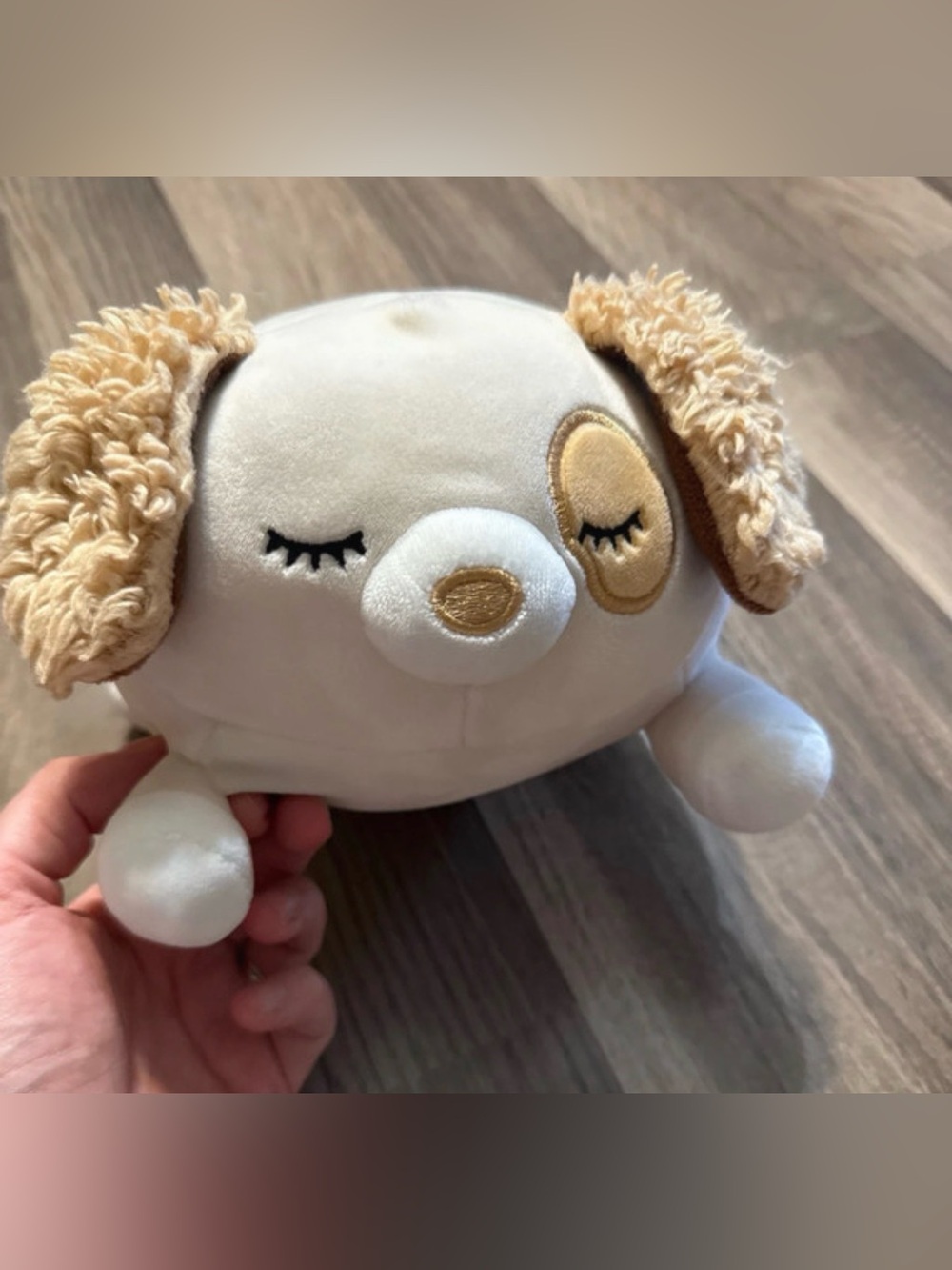 Squishmallows Harrison the Dog Laying Hug Mee plush toy.